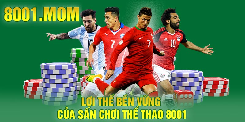 Lợi thế bền vững của sân chơi thể thao 8001