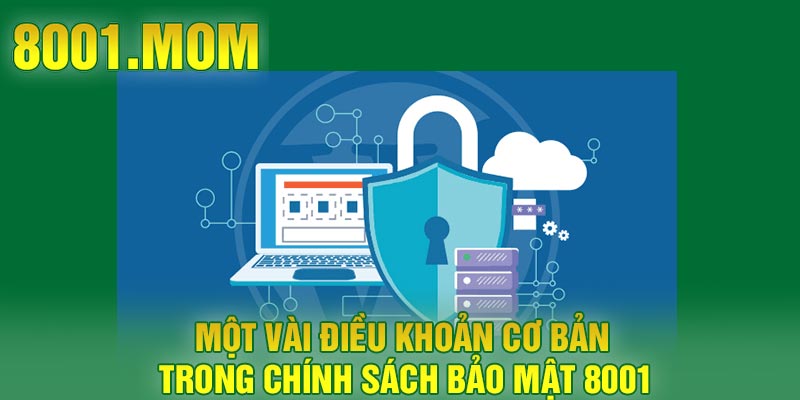 Một vài điều khoản cơ bản trong chính sách bảo mật 8001