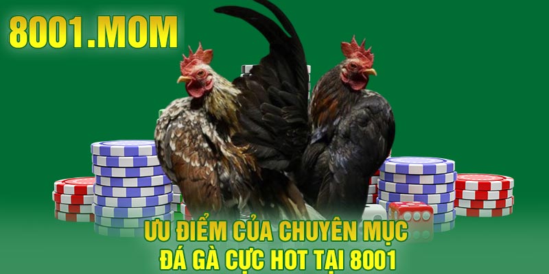 Ưu điểm của chuyên mục đá gà cực hot tại 8001